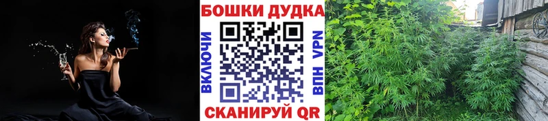 Бошки Шишки White Widow Поронайск